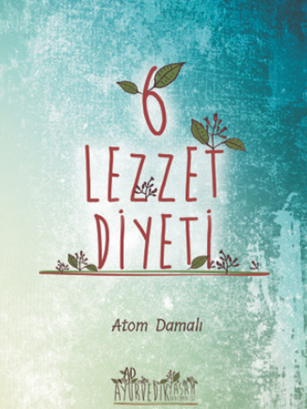 6 LEZZET DİYETİ